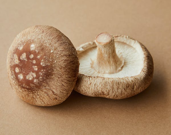 Holistic mushroom gummies